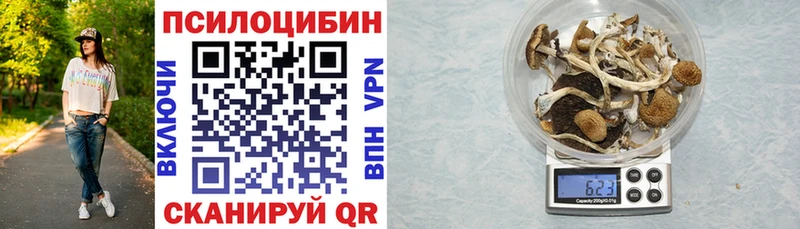 Псилоцибиновые грибы мухоморы  hydra рабочий сайт  Артёмовск 